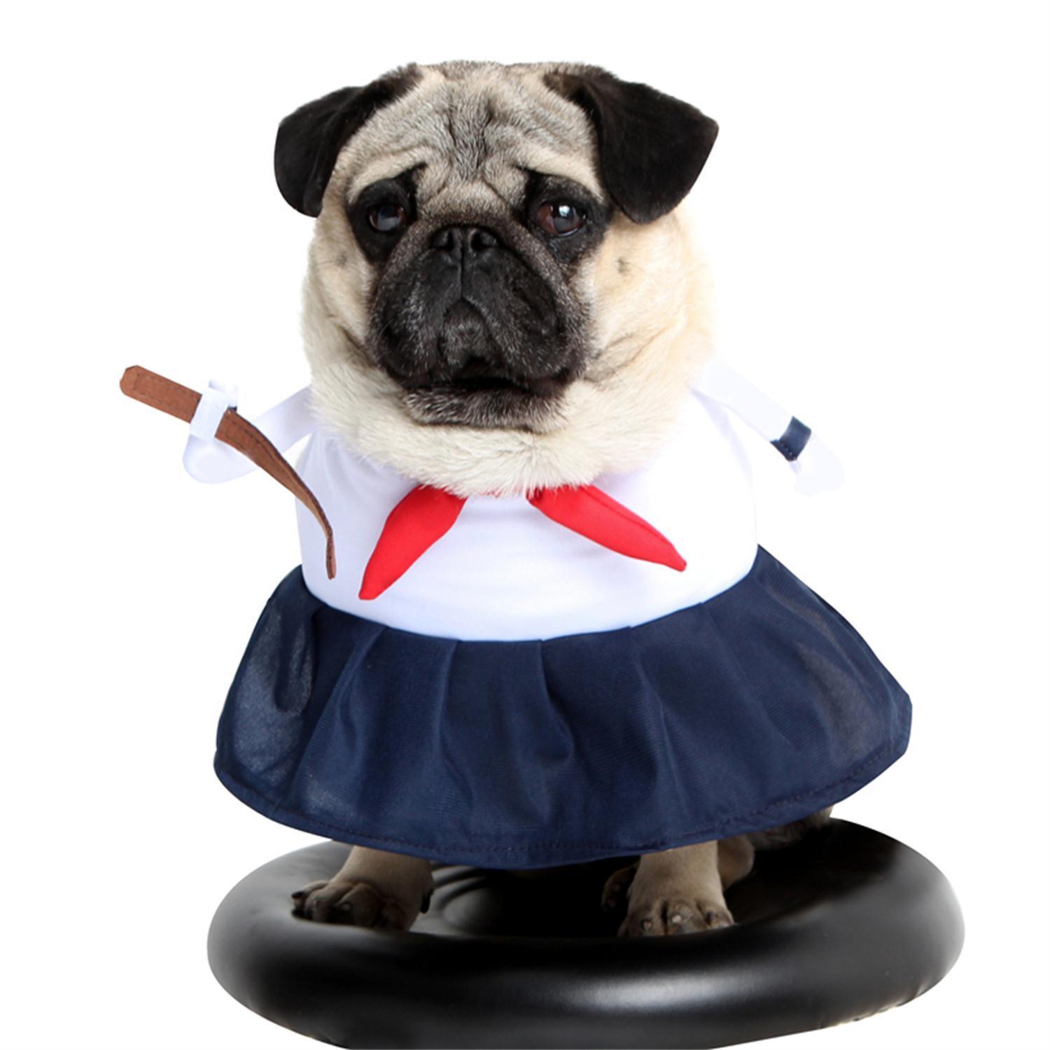 Best Buys for Your Pets!
